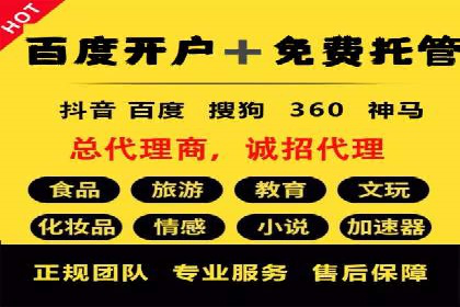 某电商平台的SEM推广策略全解析